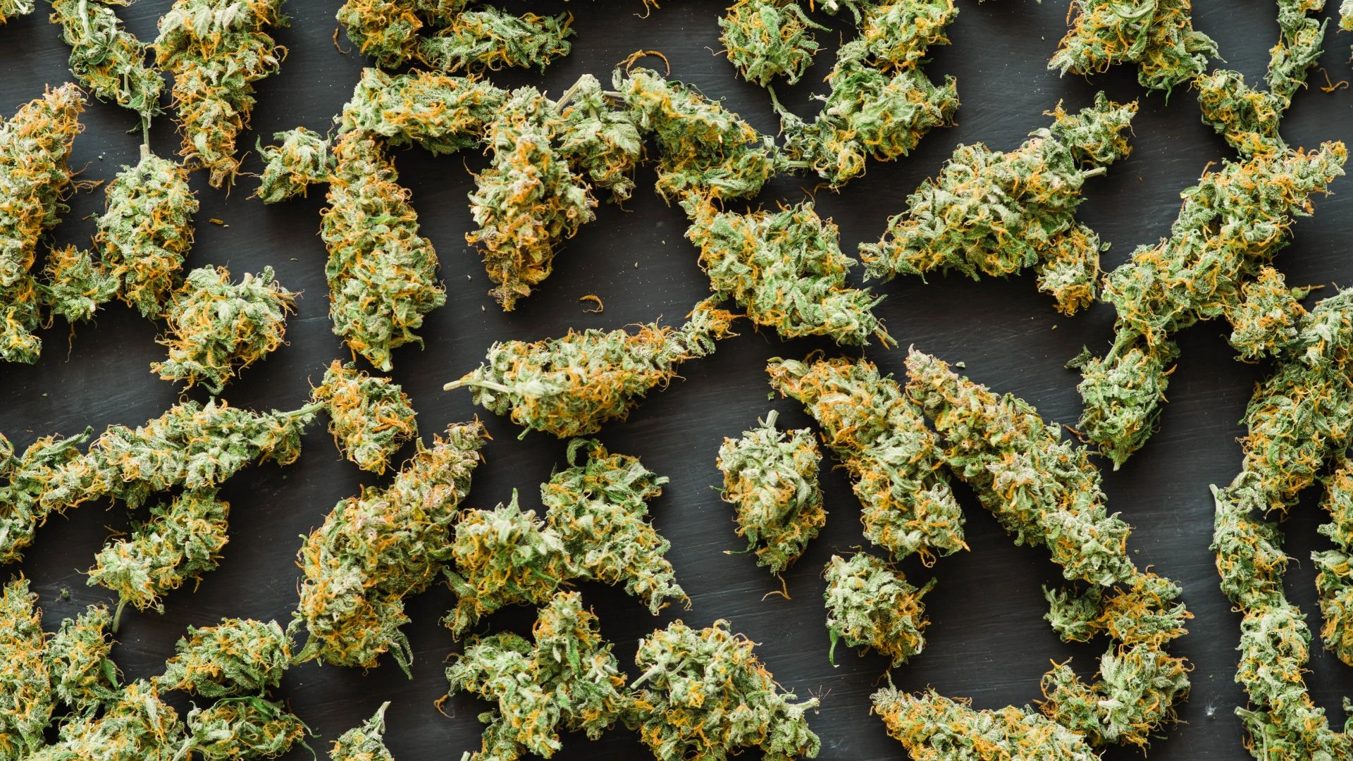 THC-F hatása: mire számíthat a felhasználó?