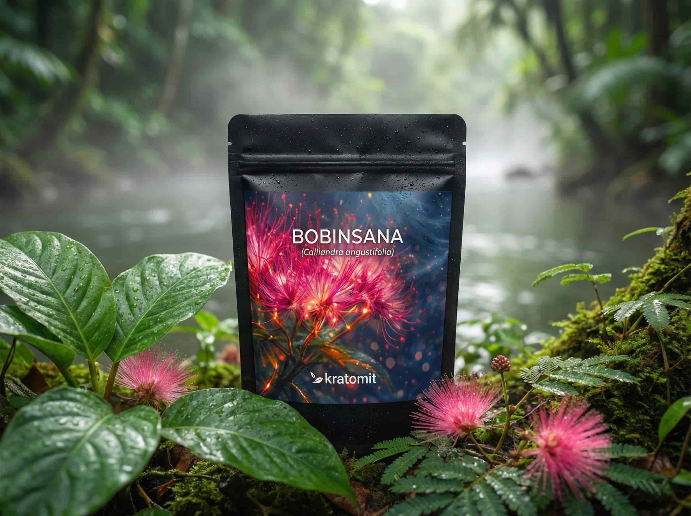 Calliandra angustifolia