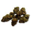 American Blueberry THC-X Virág – Édes áfonya aroma