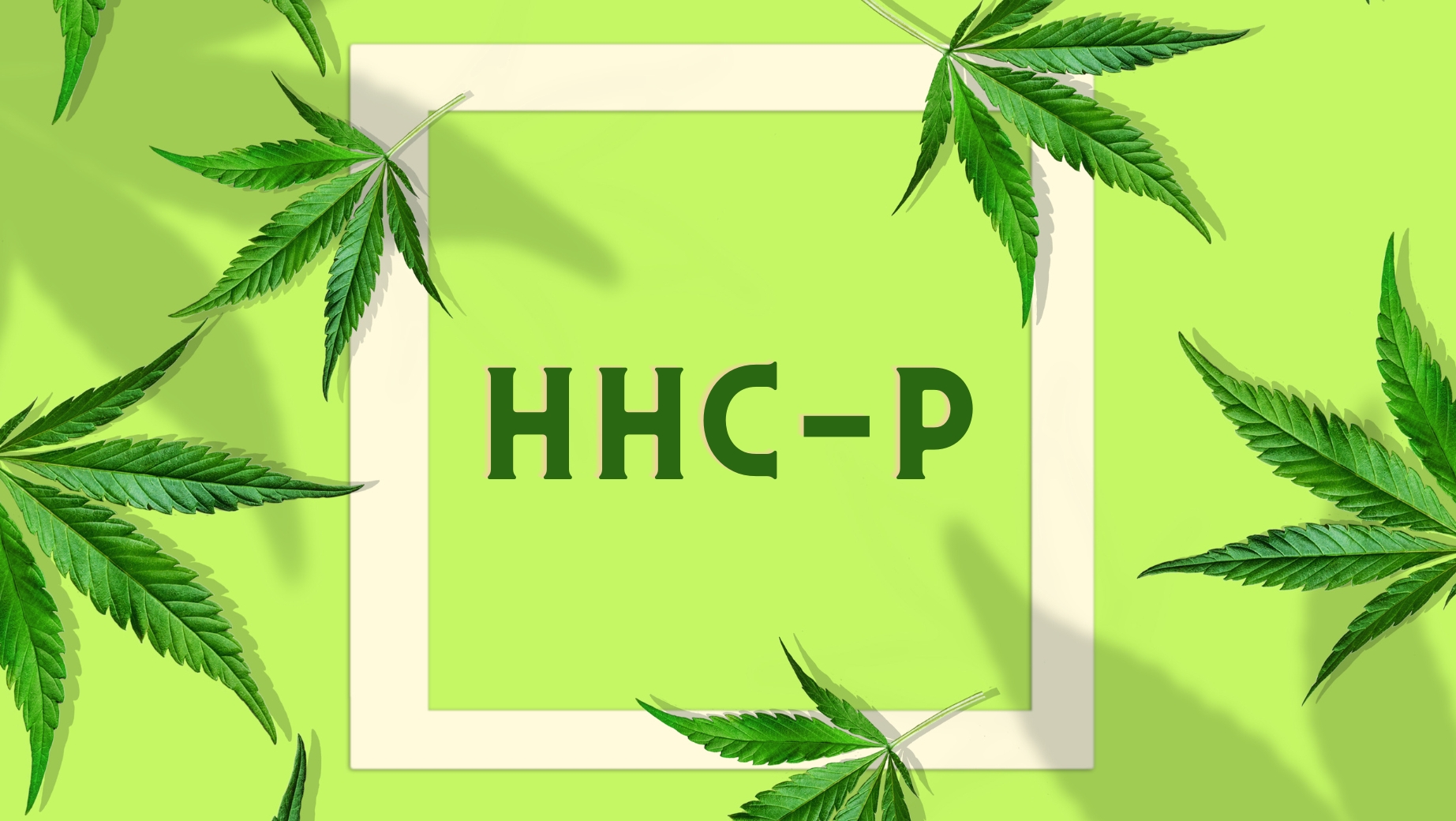Je HHC-P skutočne najsilnejším kanabinoidom?
