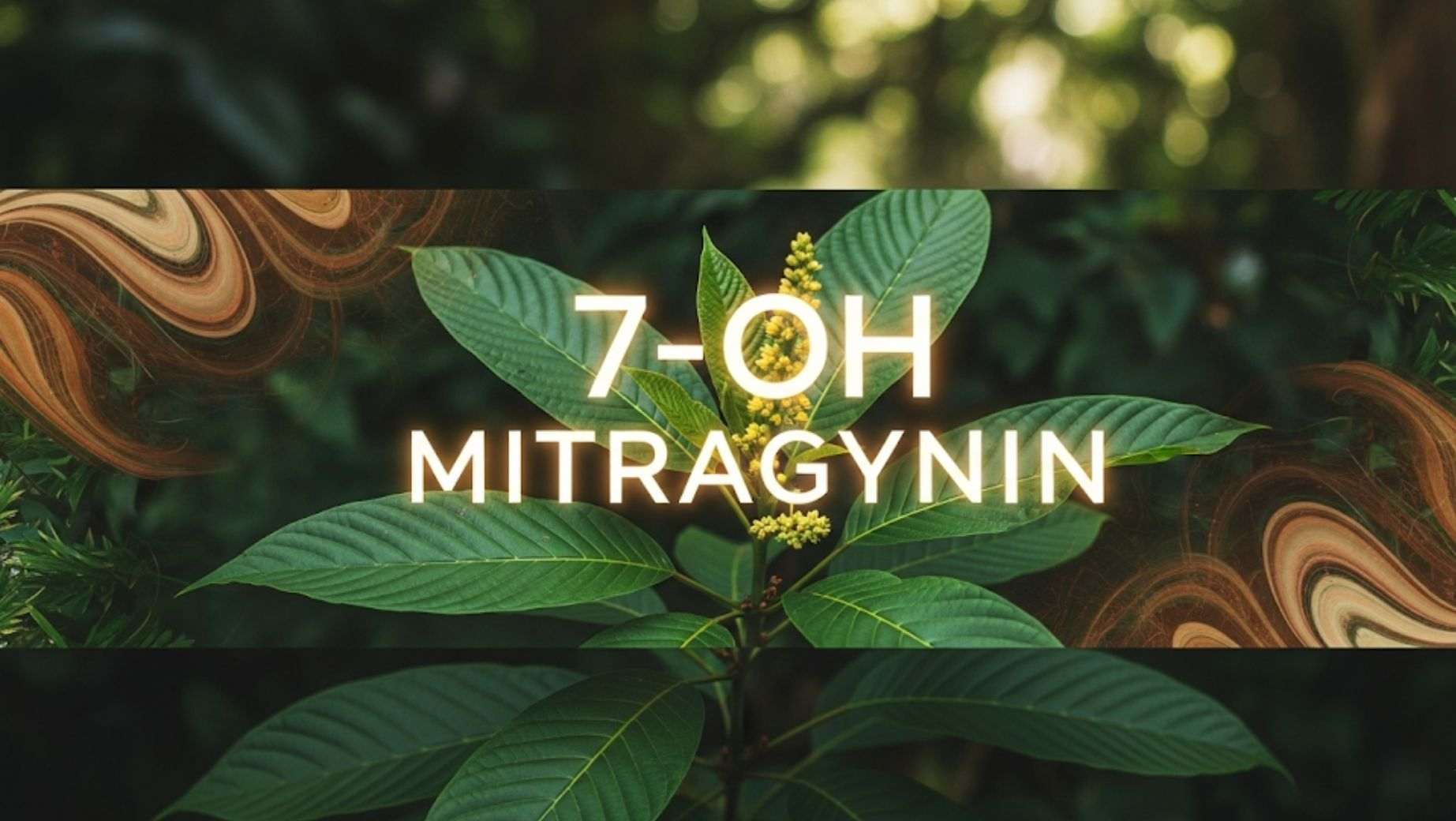 Čo je to 7-OH Mitragynín?