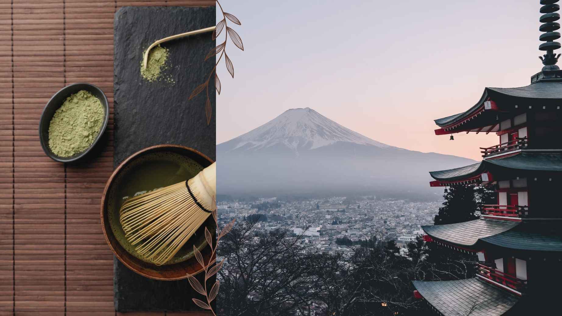 Japonská Matcha vs. Čínská Matcha