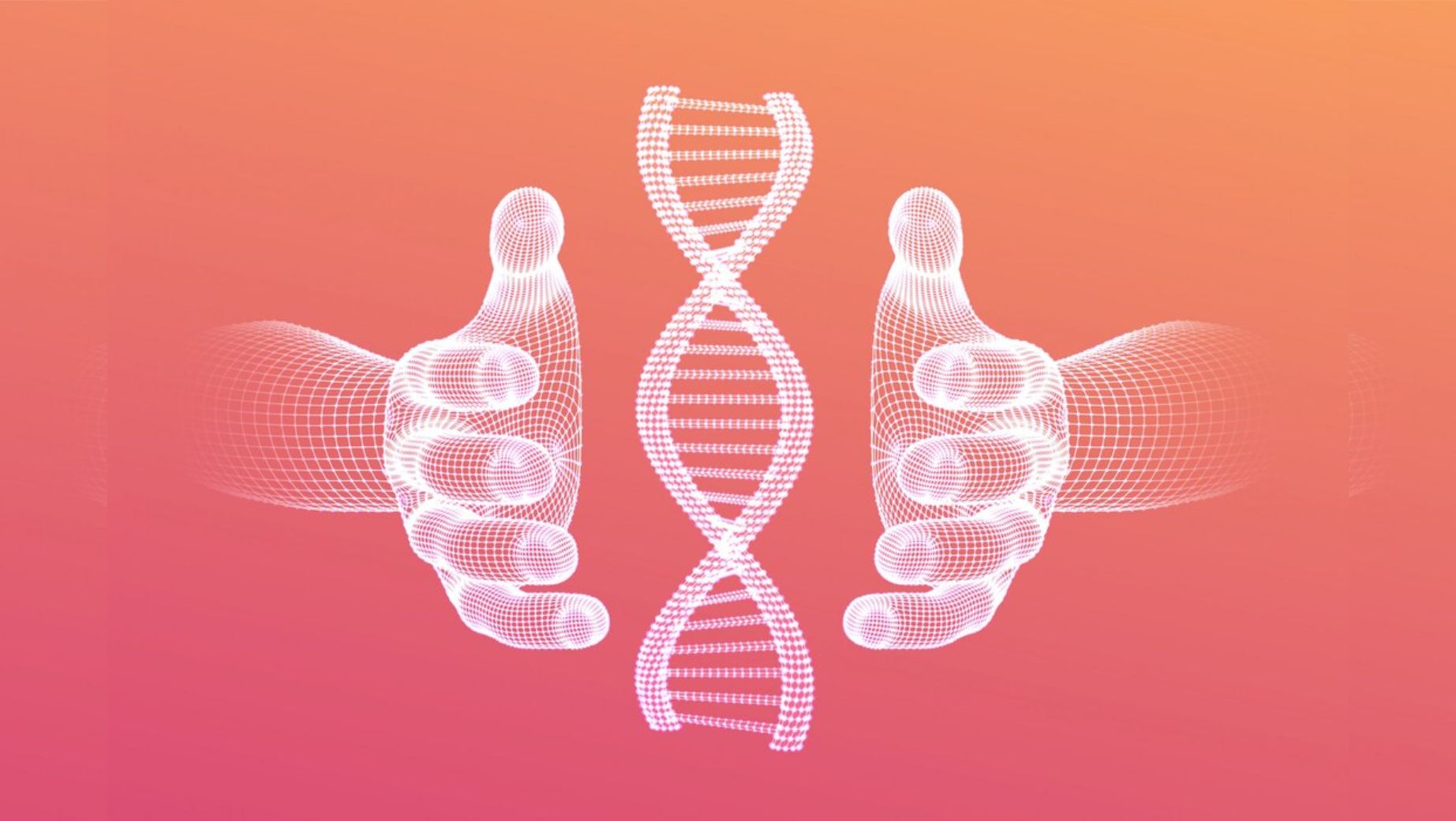 Spermidín: Kľúč k dlhovekosti a bunkovej regenerácii