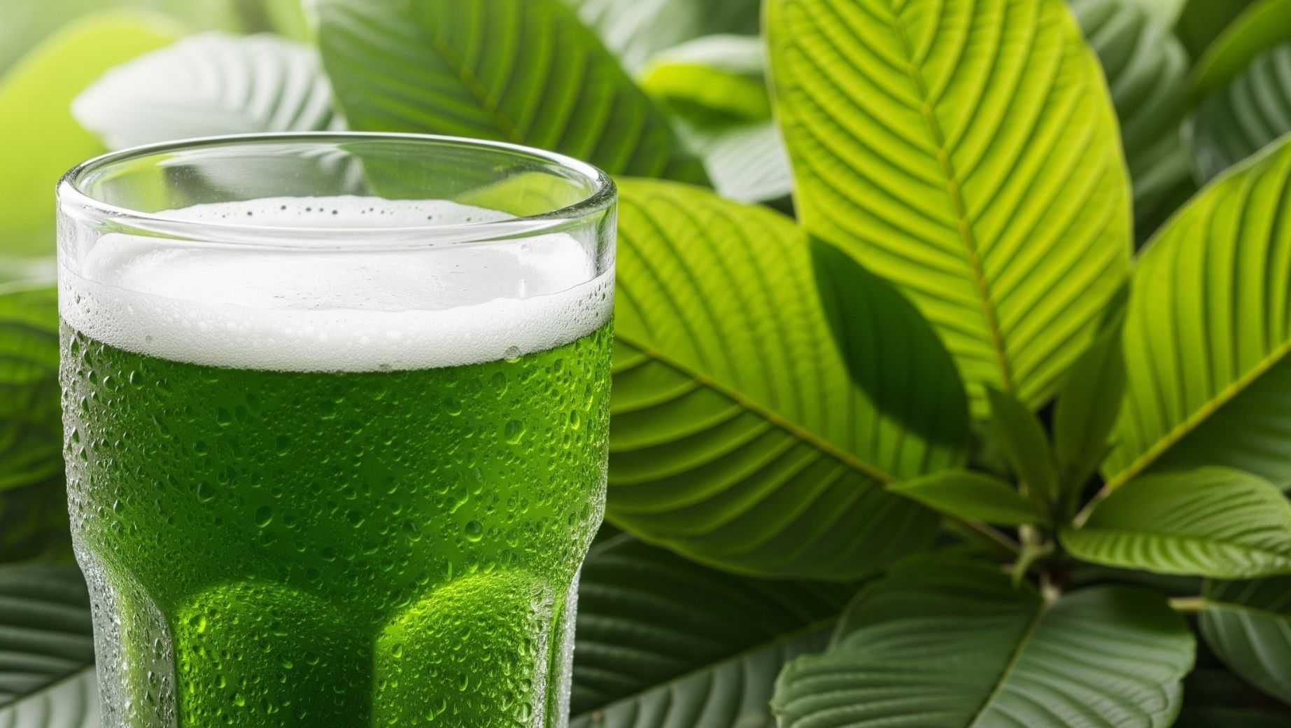 Ako vyrobiť kratomové pivo?