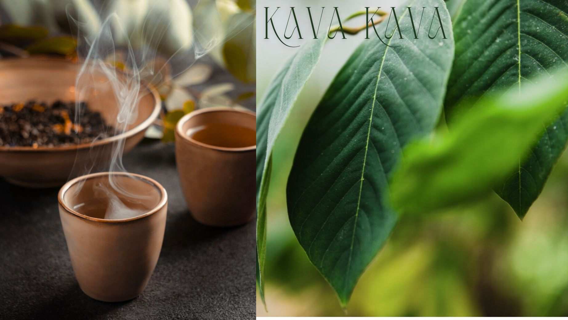 Čo je to Kava Kava a aké má účinky?