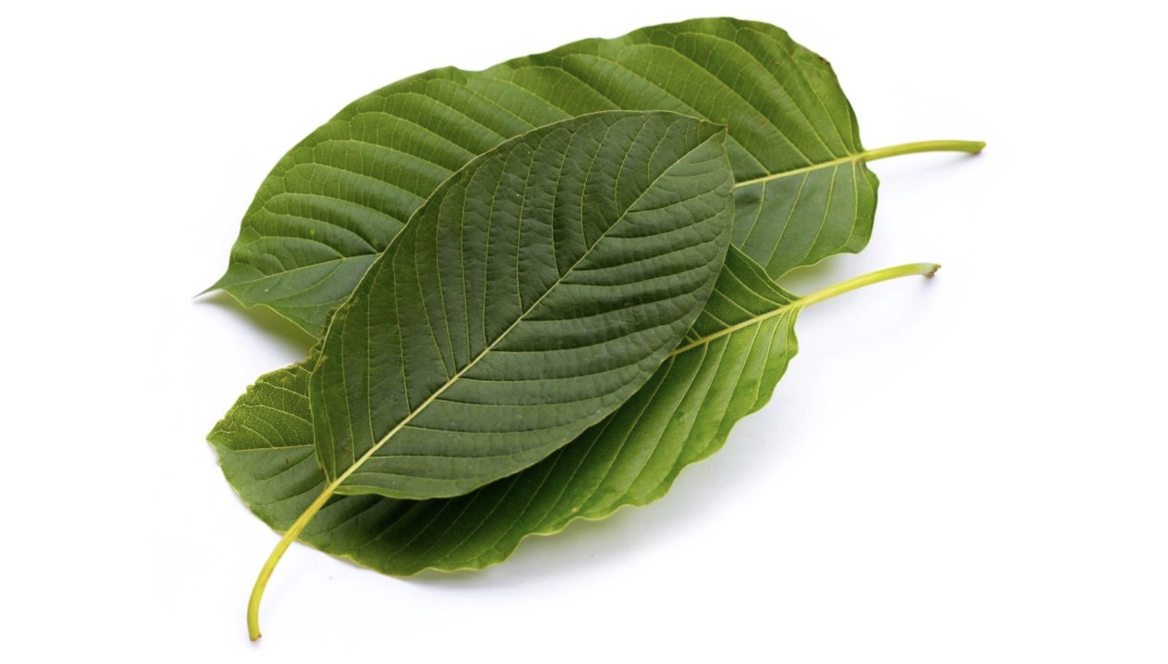 Snímek obrazovky 2024-07-01 v 19.30.35