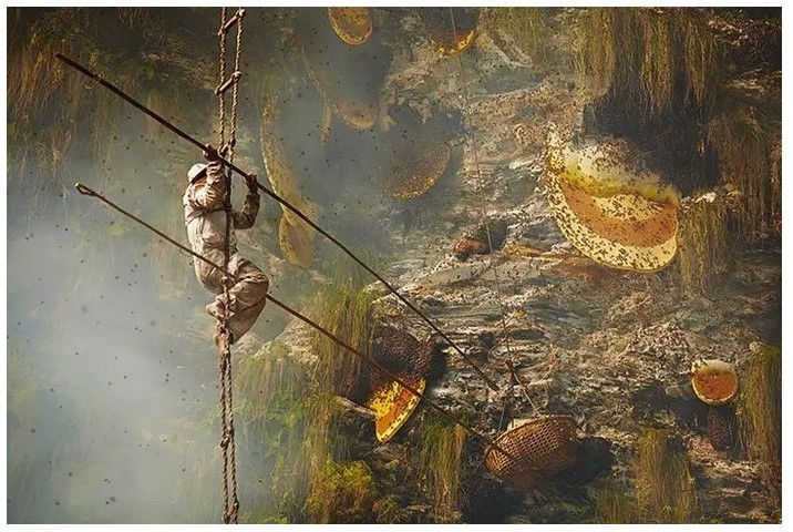 Mad Honey Nepal