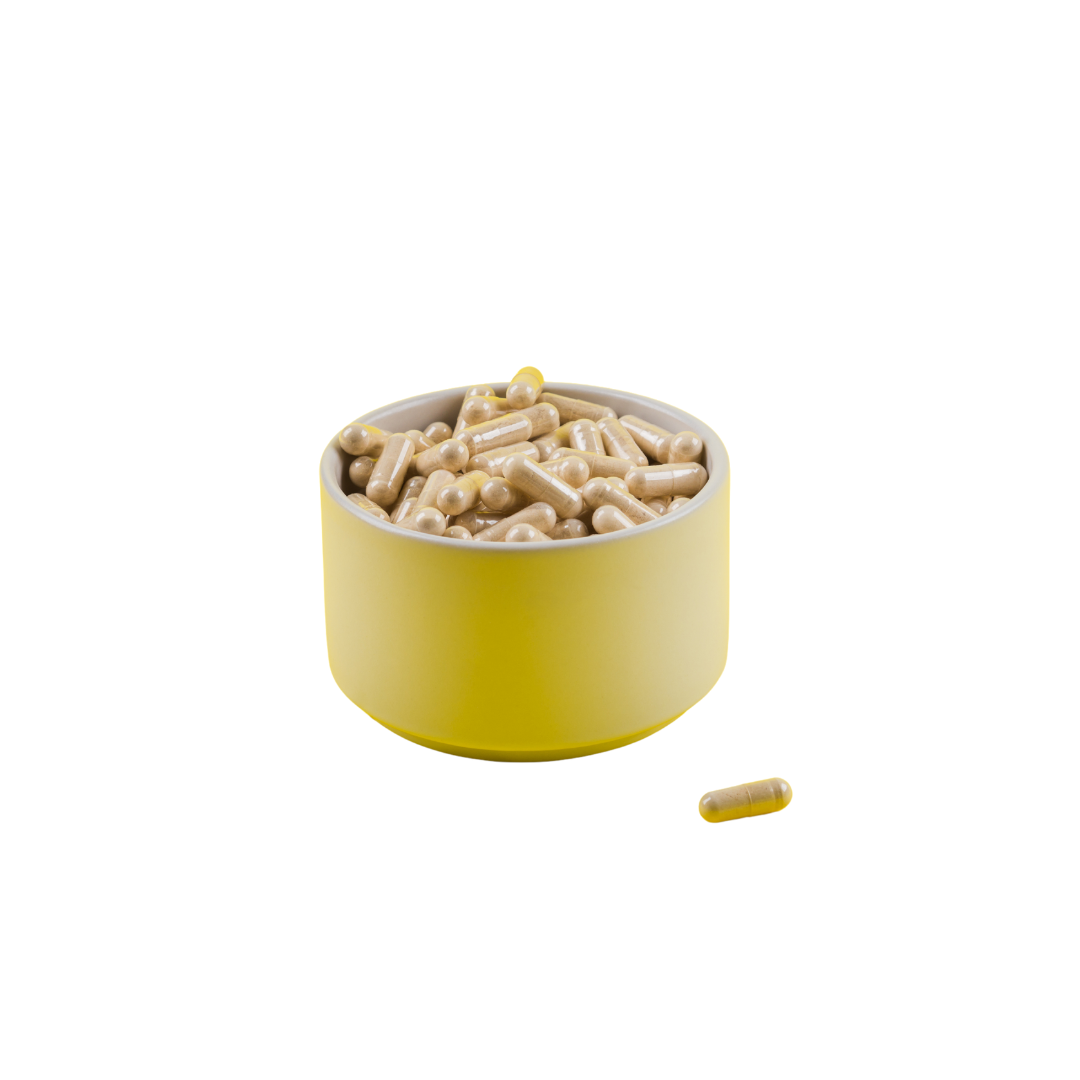 Maca kapsule