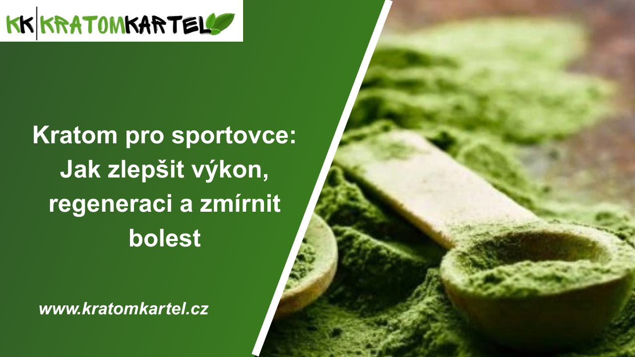 Kratom pro sportovce: Jak zlepšit výkon, regeneraci a zmírnit bolest