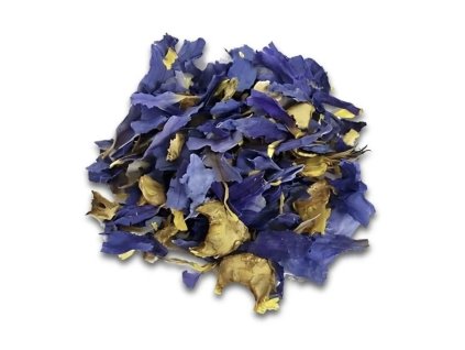 Modrý leknín (Blue lotus) Nymphae Caerulea