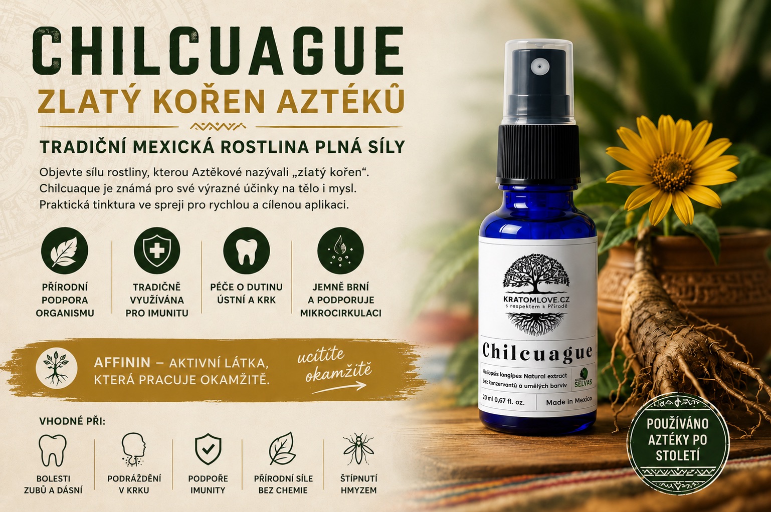CHILCUAGUE – ZLATÝ KOŘEN AZTÉKŮ. PŘÍRODNÍ SÍLA, KTEROU UCÍTÍTE BĚHEM NĚKOLIKA VTEŘIN