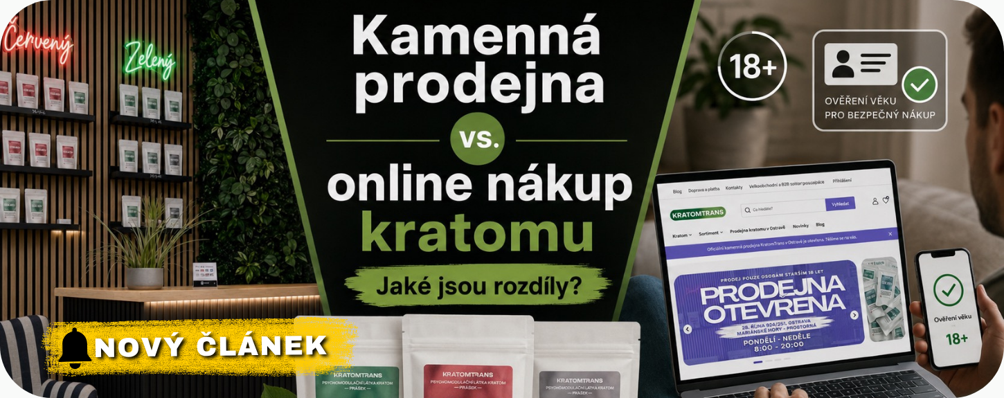 prodejna vs online prodej
