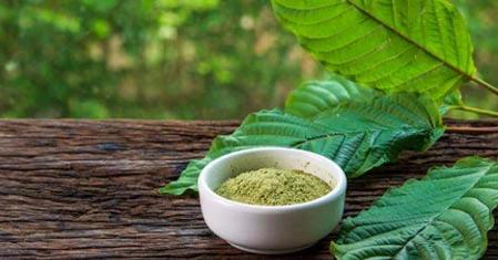 Green Kratom – Effects and Dosage
