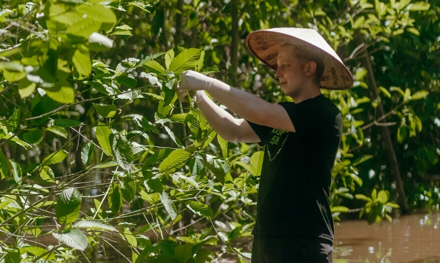 Kratom Processing 02
