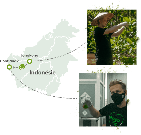 Kratom, který prodává