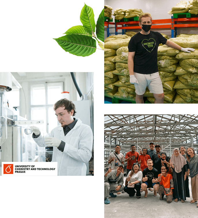 Proč právě náš kratom?