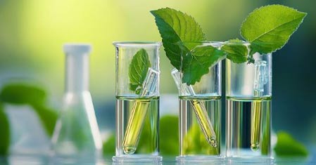 Kratom a jeho vliv na játra – Jak ovlivňuje trávení?