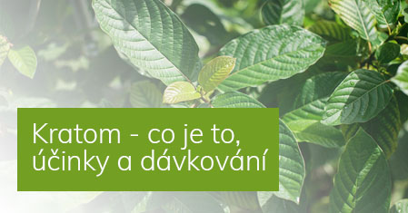 Kratom - Co je to kratom, jaké jsou jeho účinky a jak se dávkuje