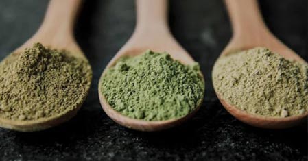 Kratom 2025 v Česku – Změny v legislativě