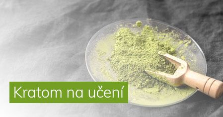 Kratom na učení – Ideální pomocník při studiu