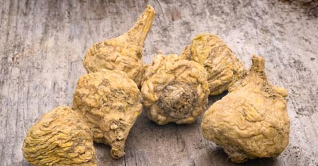 Maca peruánská a její účinky na lidské zdraví