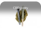 CBD jointy