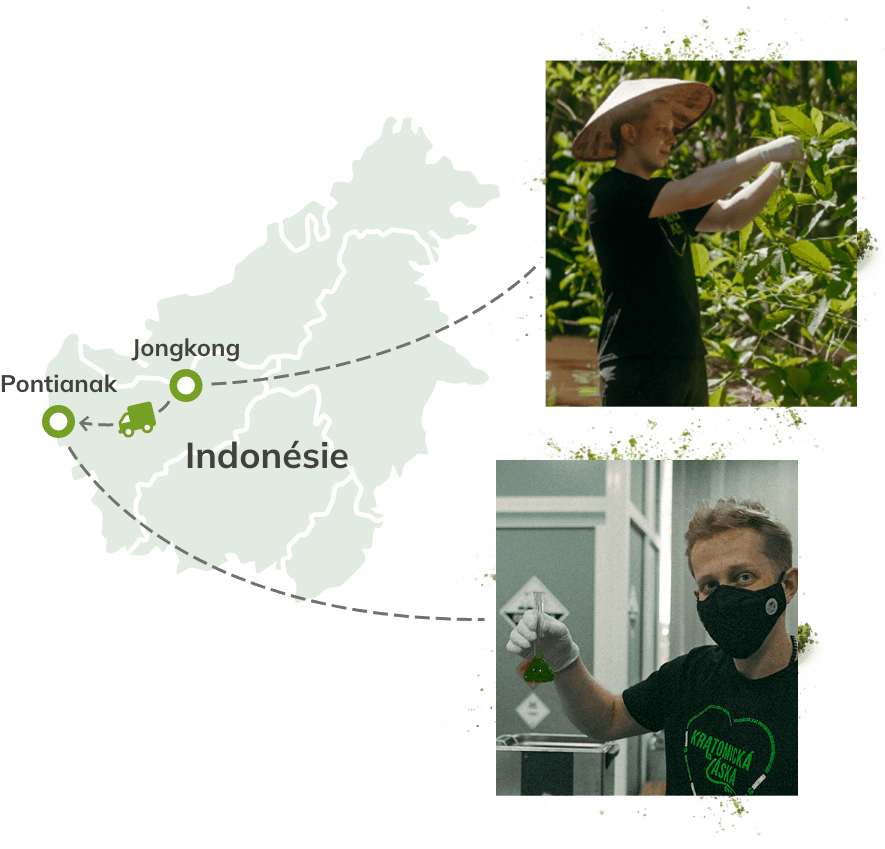 Kratom, který prodává