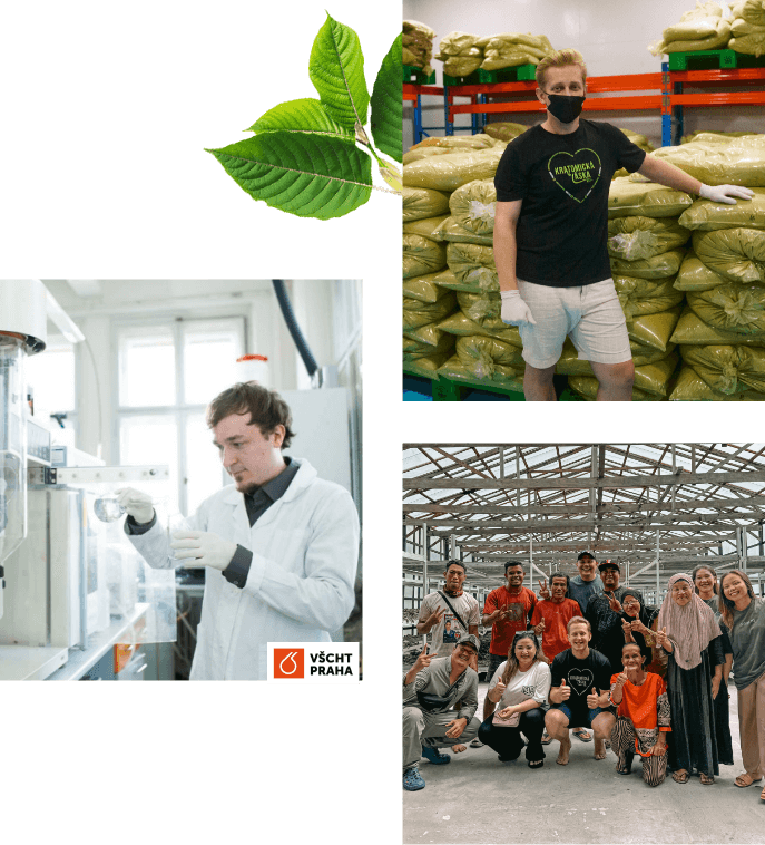 Proč právě náš kratom?