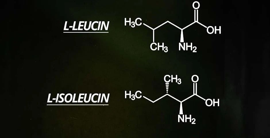 Odemkni sílu BCAA s naším komplexním průvodcem
