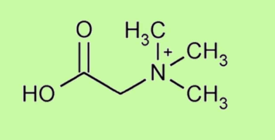 Betain HCL může změnit váš život!