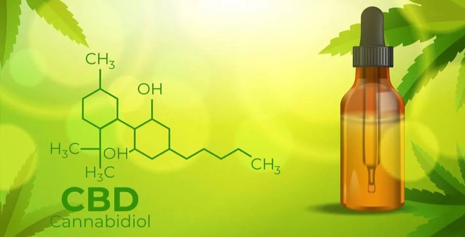 Receptář: CBD a jeho využití v gastronomii