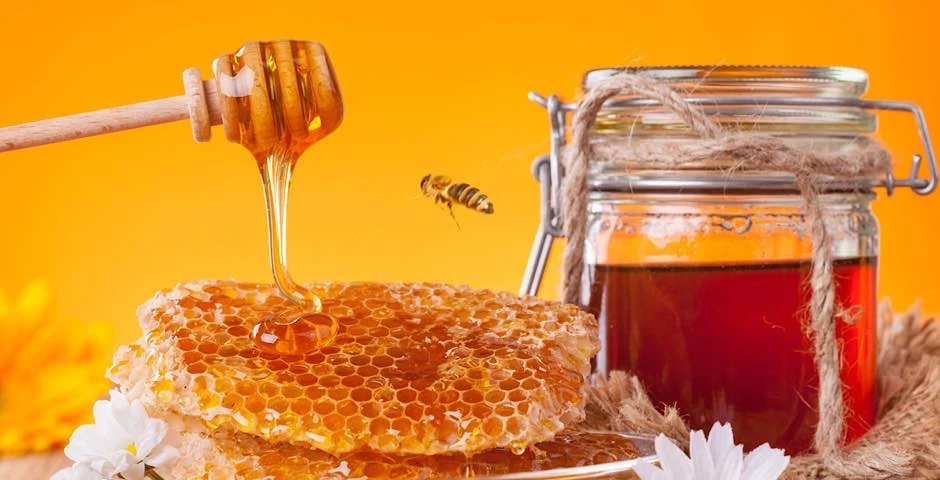 Med: Sladká síla přírody pro vaše zdraví a chuťové buňky