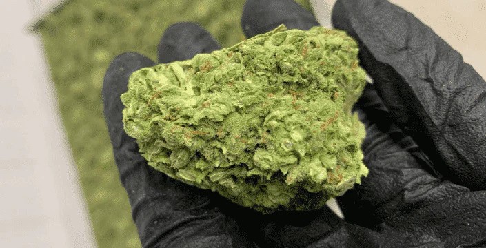 CBD Květy sušené mrazem: Tajemství extrémní čistoty a účinnosti