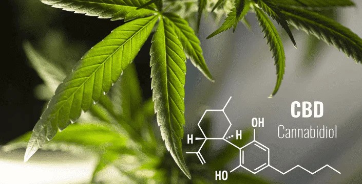 Koupelové soli s obsahem CBD -  Dopřejte tělu pořádný relax