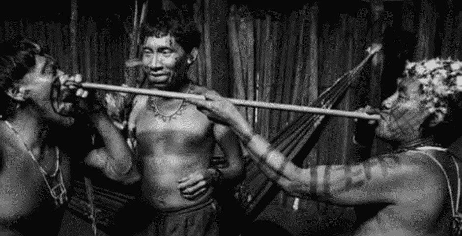 Rapé cumaru: Tajemný rituál s aromatickým dotekem přírody