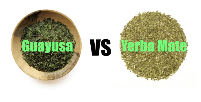 Yerba Maté a Guayusa (Wayusa) a jak se liší