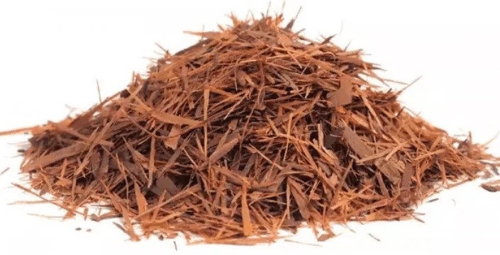 Lapacho - účinky a příprava