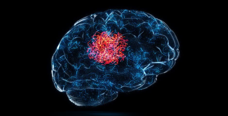 Odhalení síly posilovačů mysli - Komplexní průvodce kognitivními funkcemi