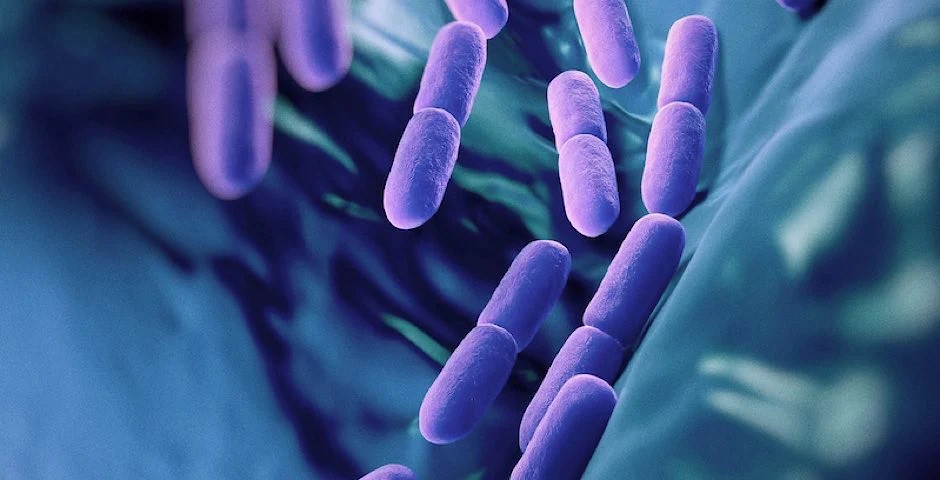 Fermentované a Probiotické Potraviny: Klíčové pro Zdraví a Dobré Trávení