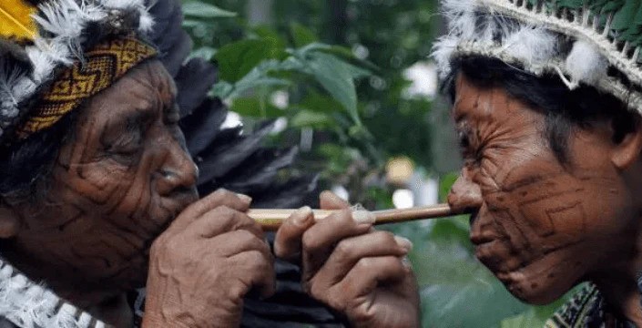 Co je to Rapé, odkud pochází a jaké jsou jeho účinky?