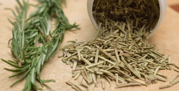 Co je to Rozmarýn rosmarinus officinalis a jaké má účinky?