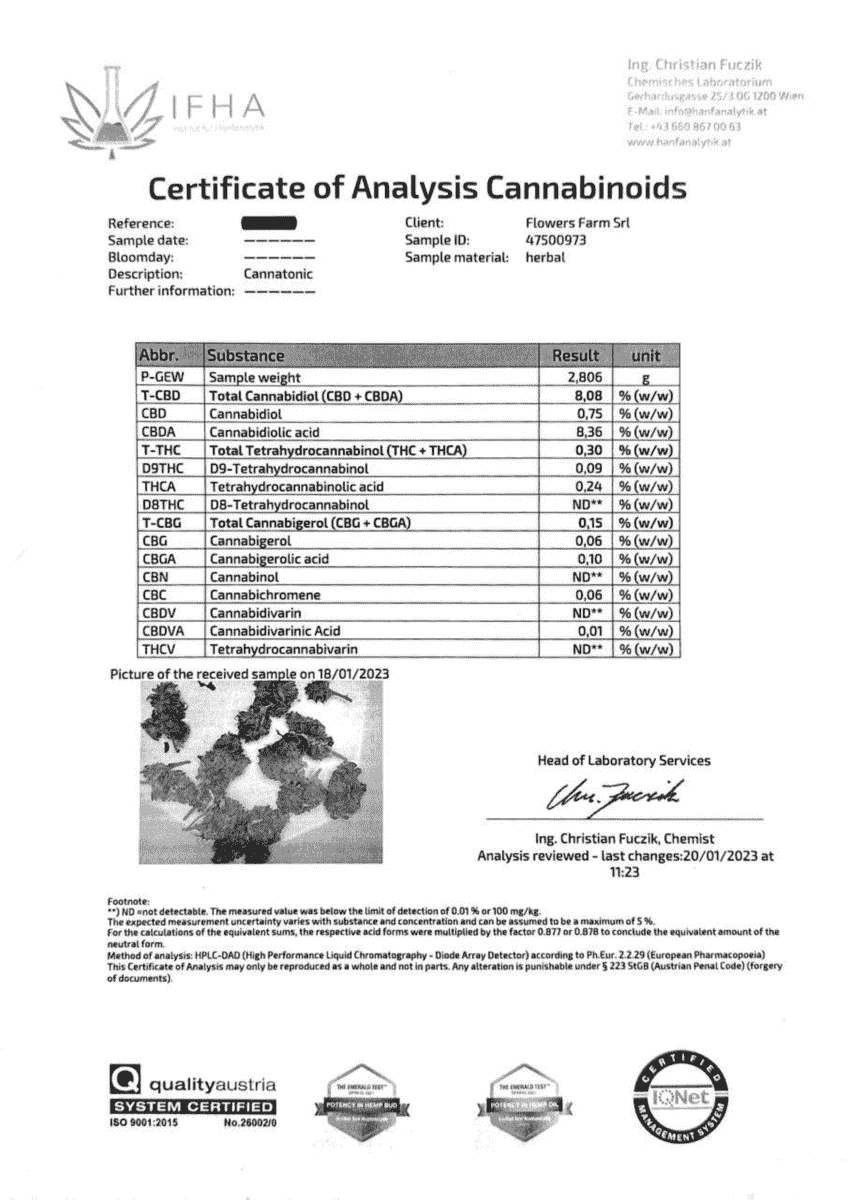 011-Brokolice-broccoli-bud-hhc-testy-kvety_1520x