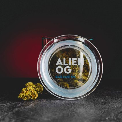 KRATOM WORLD květy alien og indoor magic sauce 10 procent cbd hhc