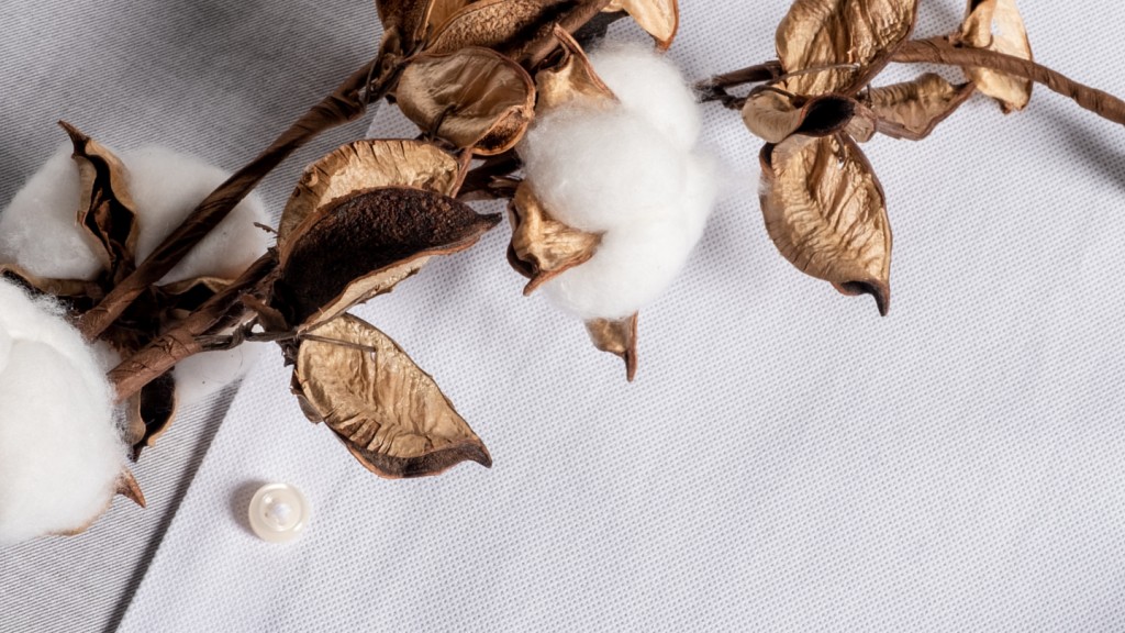 Eterna a udržitelná móda