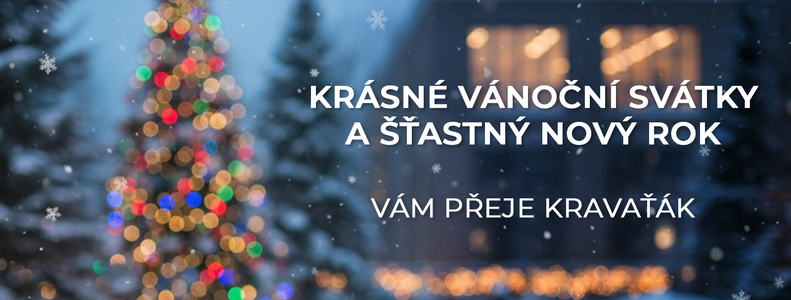 krásní vánoční svátky a šťastný nový rok