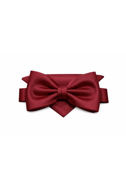 ChatGPT Image 21. 1. 2026 09 15 35