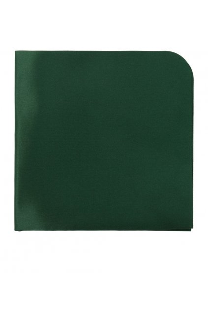 Kapesníček do saka Avantgard - emerald