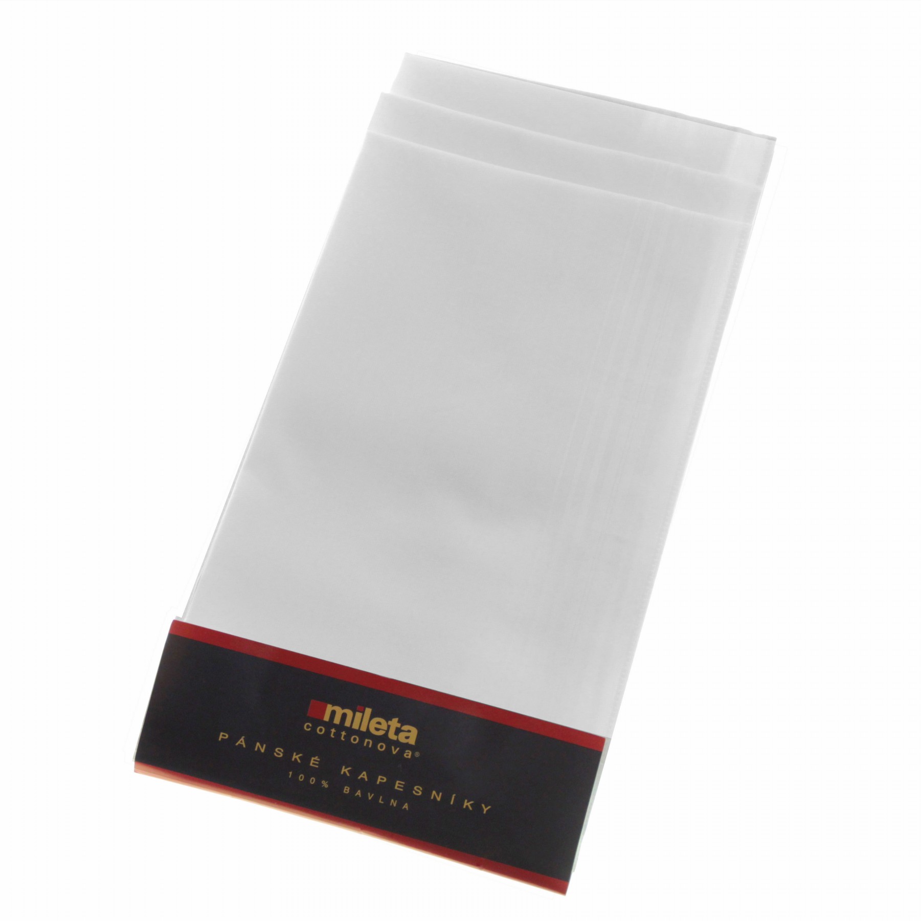 Pánské kapesníky ETEX - bílé