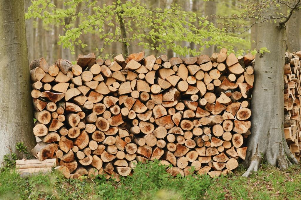 Kúrenie drevom je ekologické a CO2 neutrálne