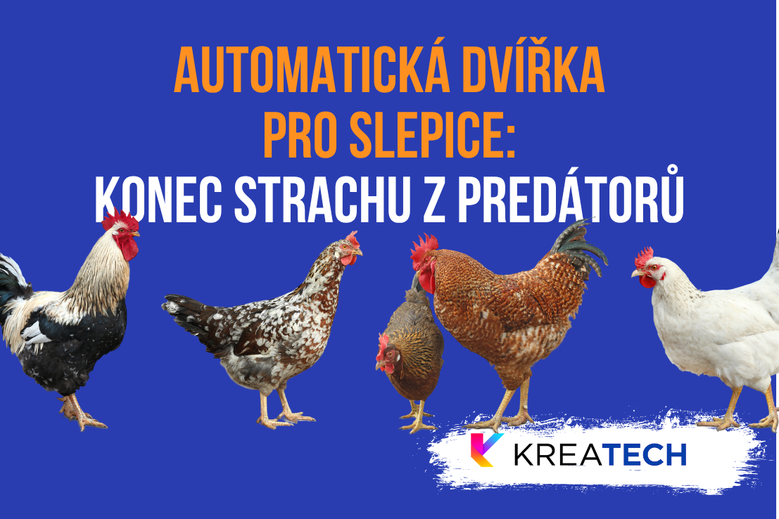 Automatická dvířka pro slepice: Konec ranního vstávání a strachu z predátorů